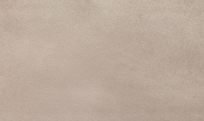 Обои Elysium Серия Гамма Е17523